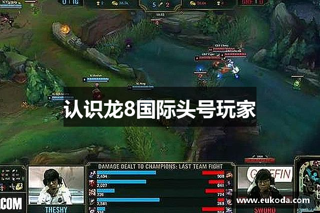 认识龙8国际头号玩家